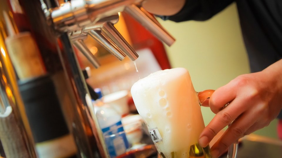 Pivo by mohlo podle vědců výrazně zdražit
